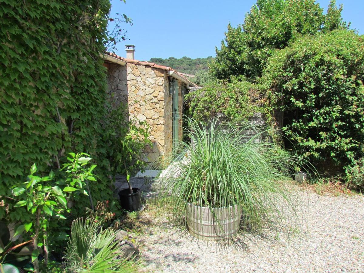 Hotel chambre d’hôtes des oliviers à La Roque-sur-Cèze Extérieur photo